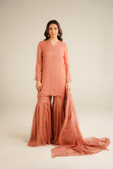3 Piece Chiffon Embroidered Suit (FL0032)